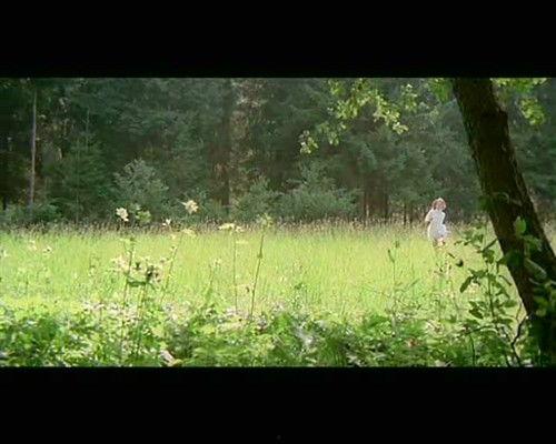 春之森林,生机盎然的绿色画卷