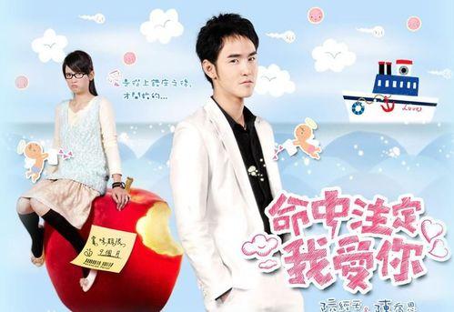 命中注定我嫁你